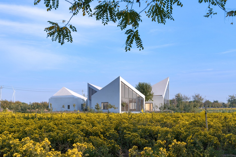 The Library In Ice Chrysanthemum Field China by ATELIER XI