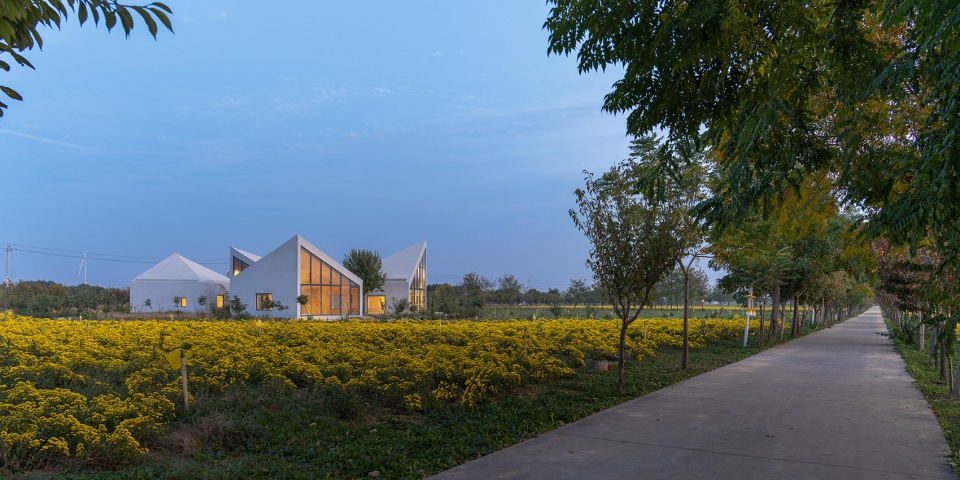 The Library In Ice Chrysanthemum Field China by ATELIER XI