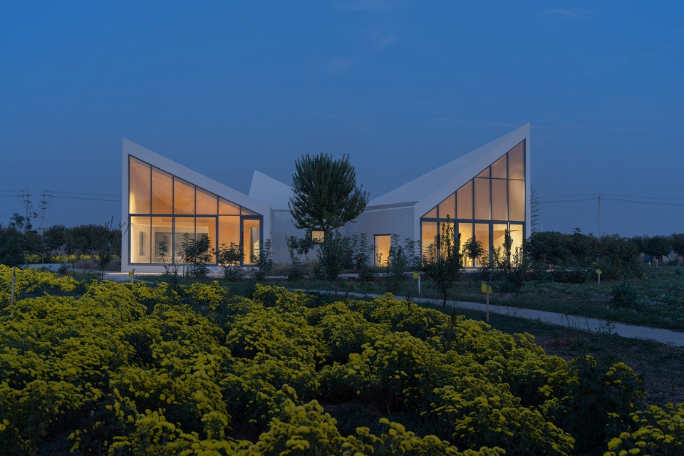 The Library In Ice Chrysanthemum Field China by ATELIER XI