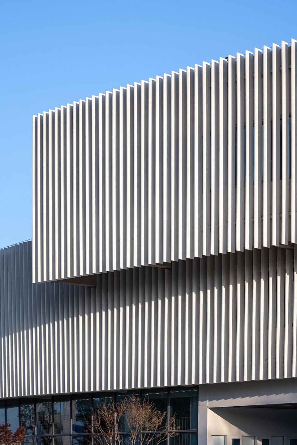 Yangming Experimental School China by MINAX Architects