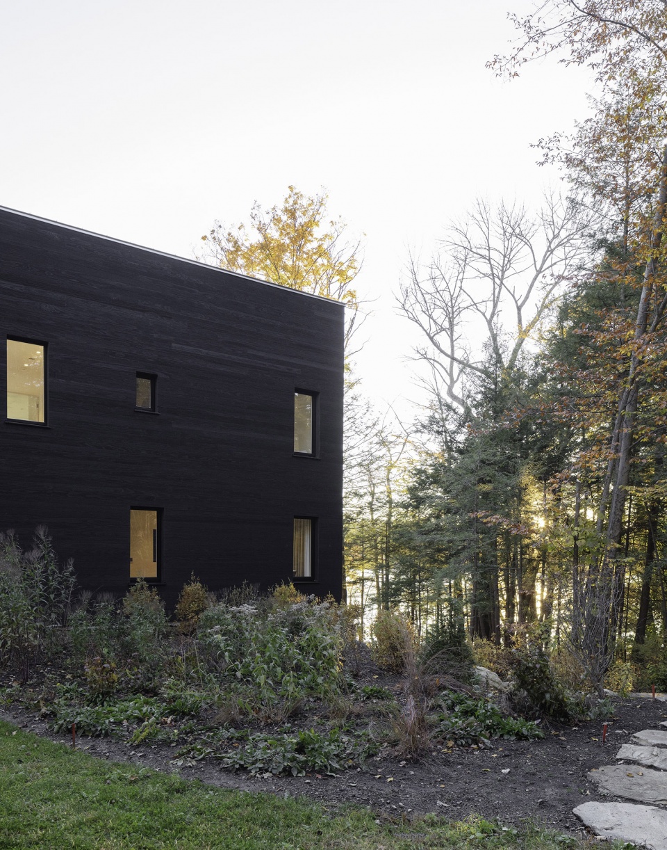 forest lake house by pachano vollert architecture