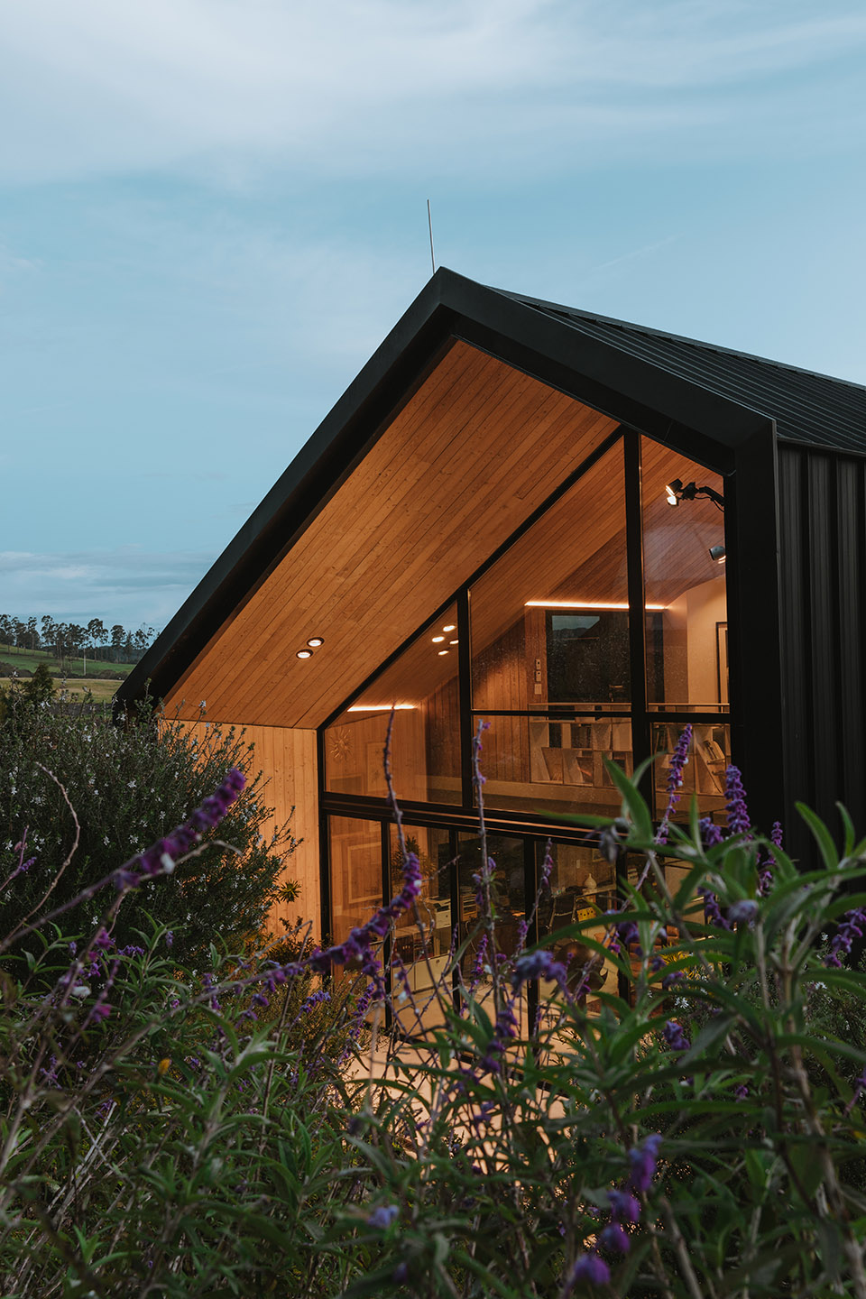 casa kruppa by capa arquitectura