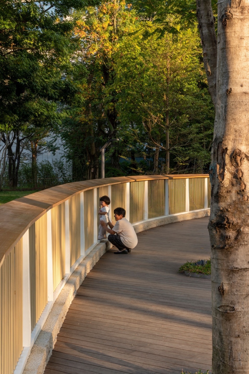 木质平台© HOPE翰博设计 杨洋 north lilin park by hope design
