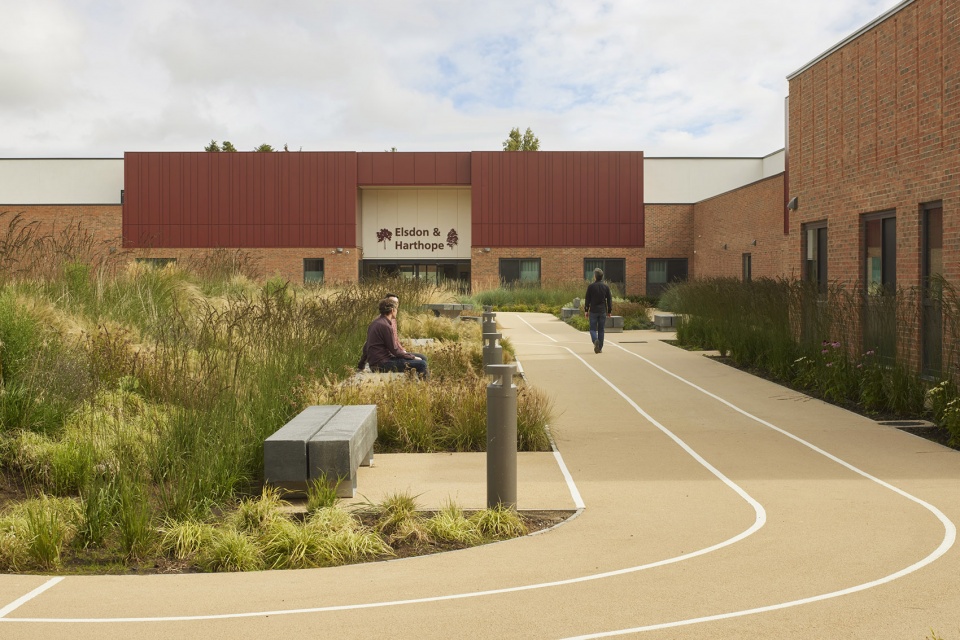 sycamore landscape by medical architecture