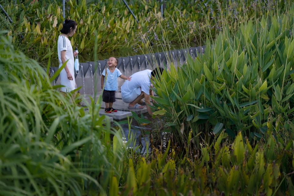 2023 asla general design award qianhai guiwan park james corner field operations