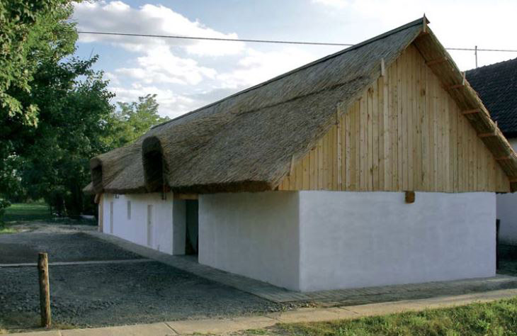 black slavonian eco pig farm by skrozdoo