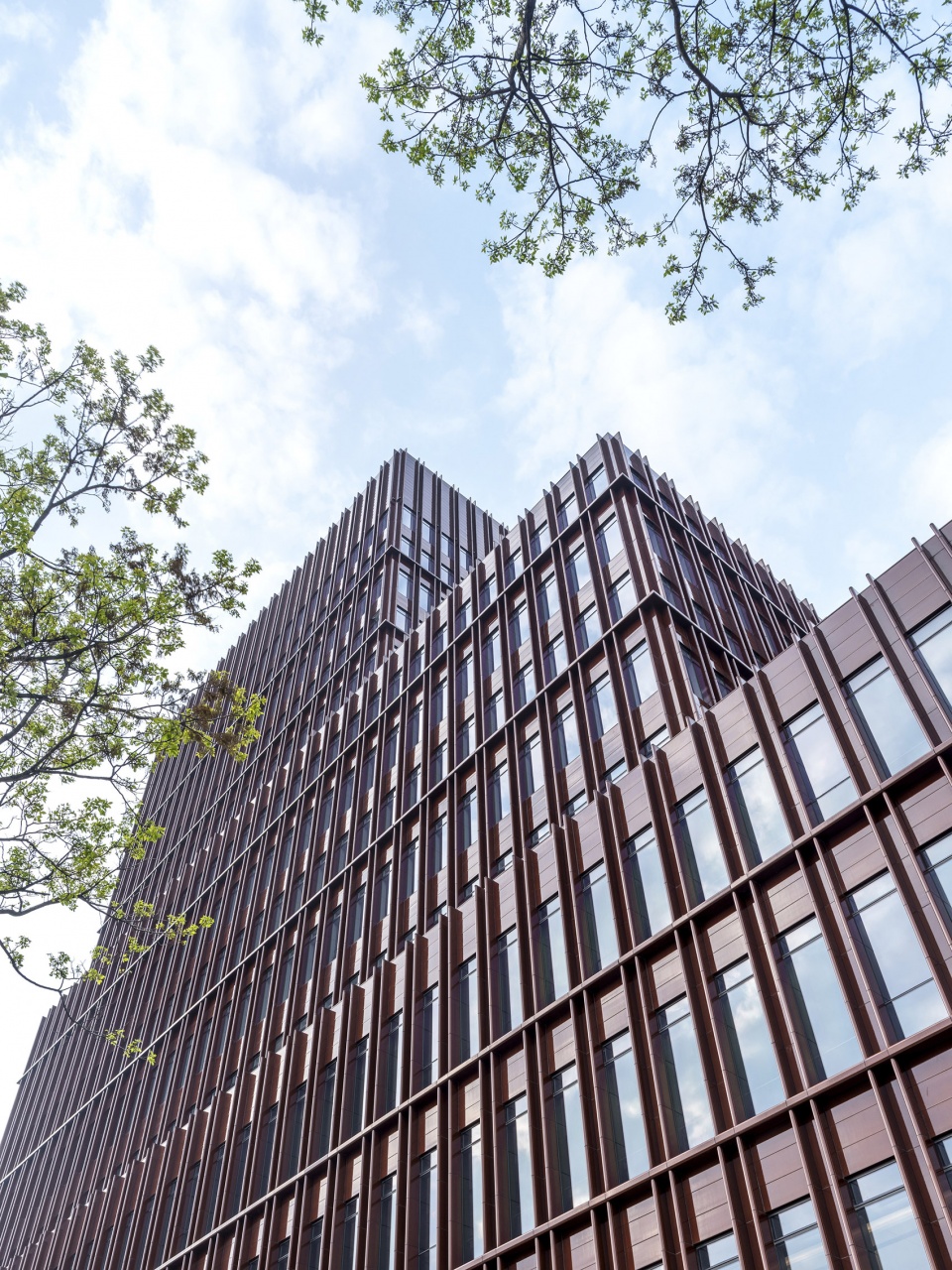 dingbo expo riverside by david chipperfield architects