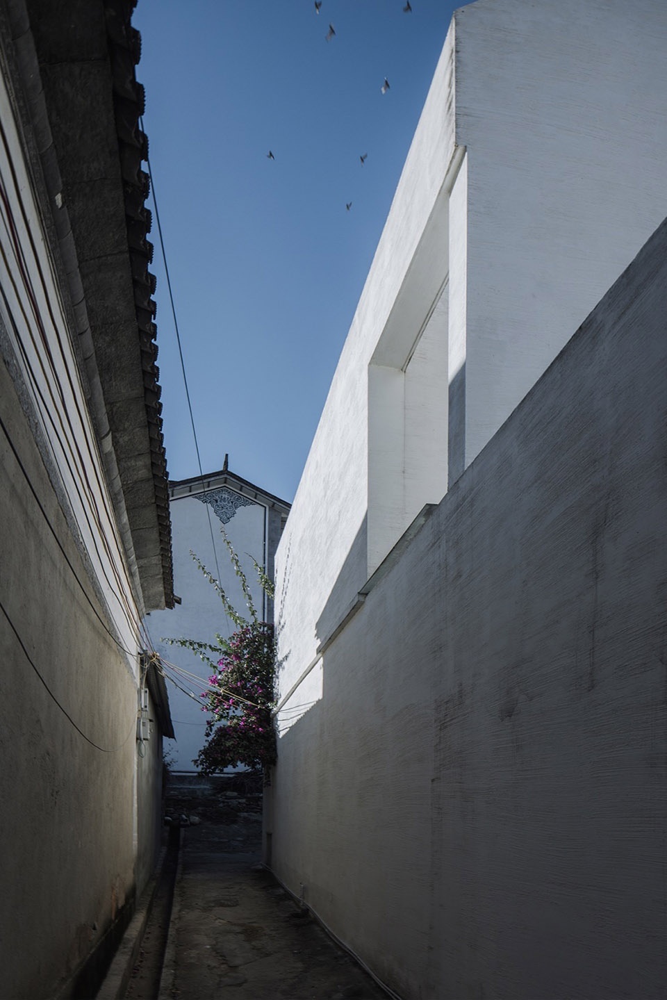 An inward micro courtyard China by Edge Architect