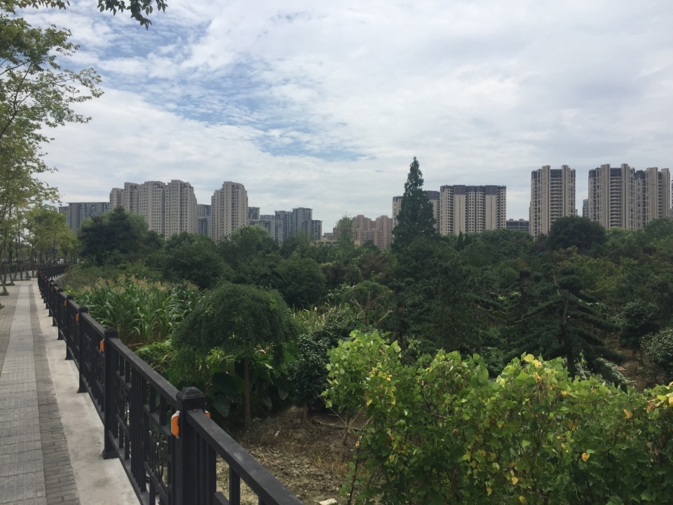 运河亚运公园 杭州园林设计院