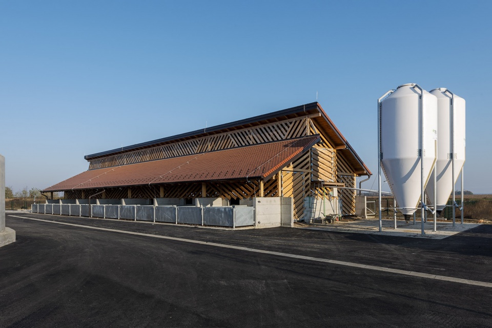 black slavonian eco pig farm by skrozdoo