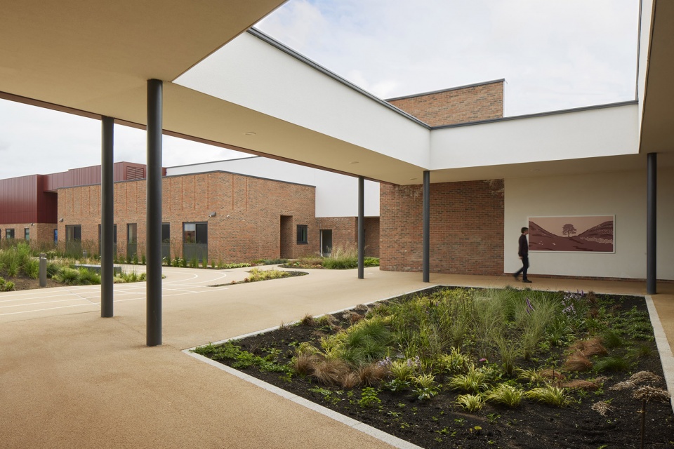 sycamore landscape by medical architecture