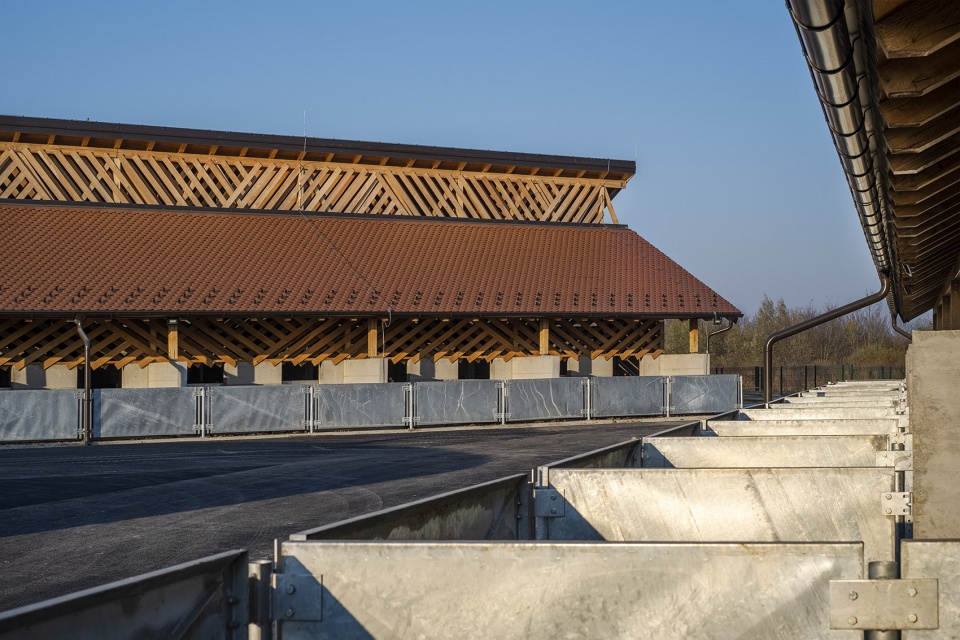 black slavonian eco pig farm by skrozdoo