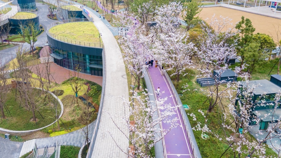 运河亚运公园 杭州园林设计院