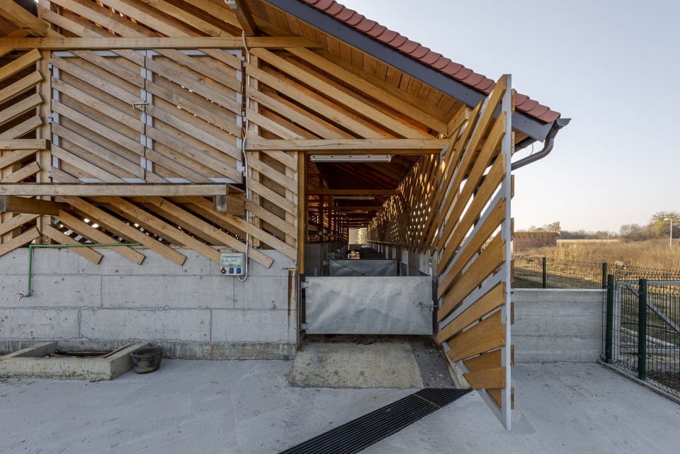 black slavonian eco pig farm by skrozdoo