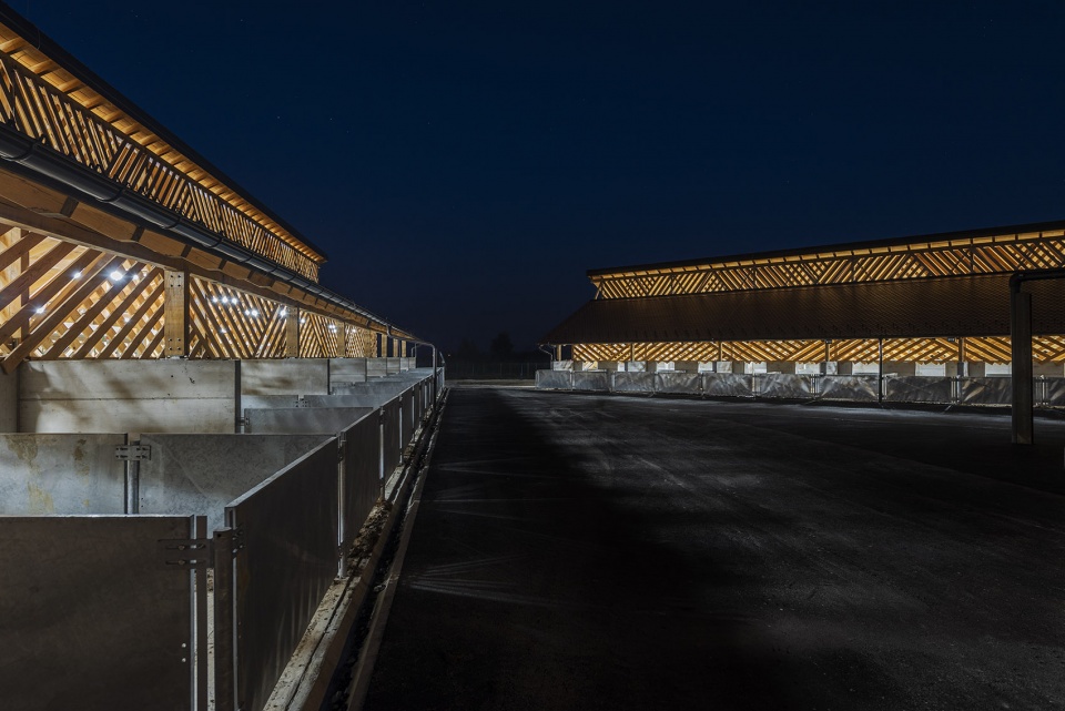 black slavonian eco pig farm by skrozdoo