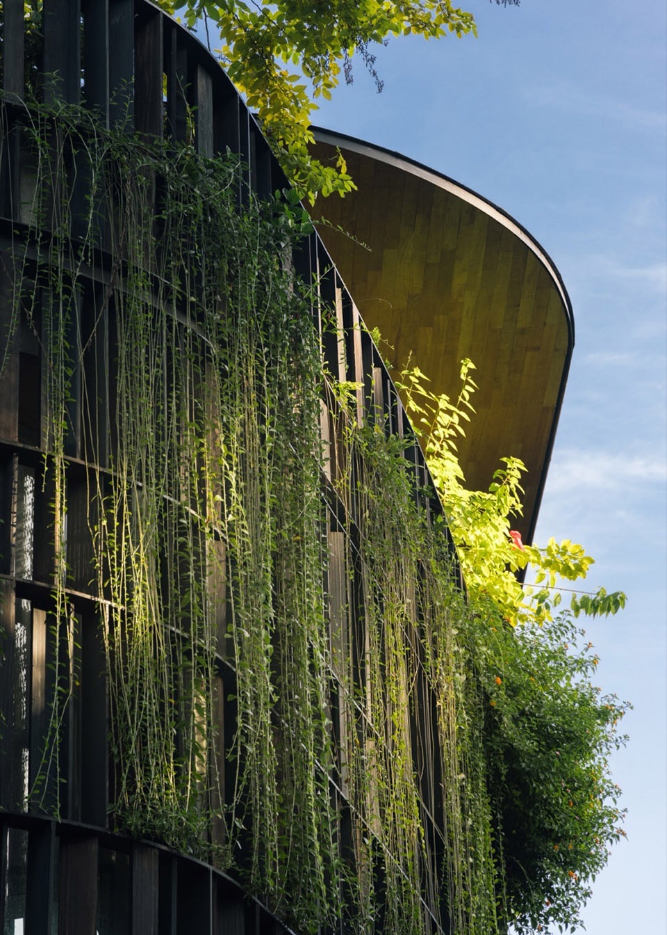 Touching Eden House by Wallflower Architecture Design gvu