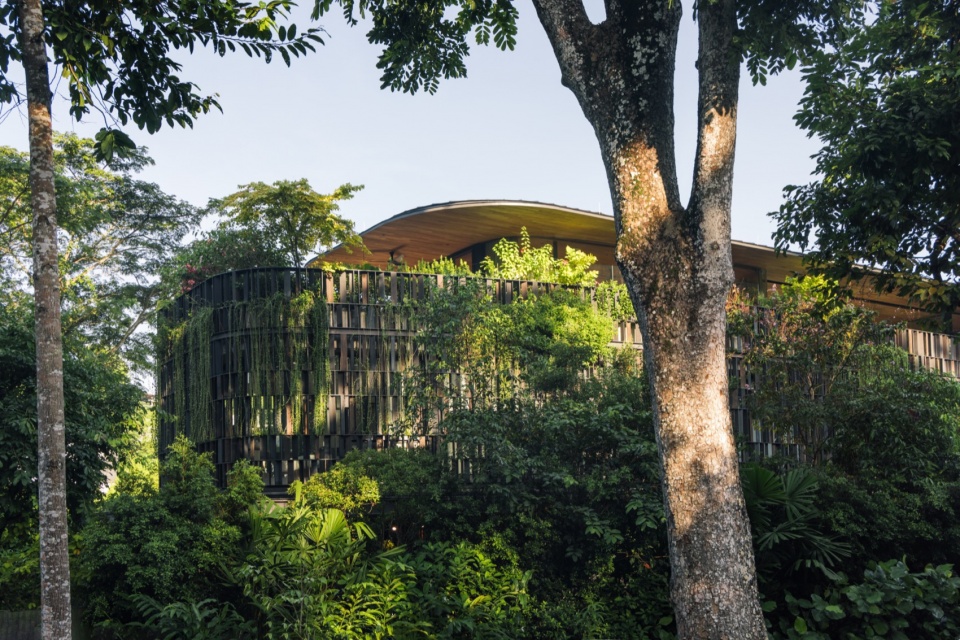 Touching Eden House by Wallflower Architecture Design