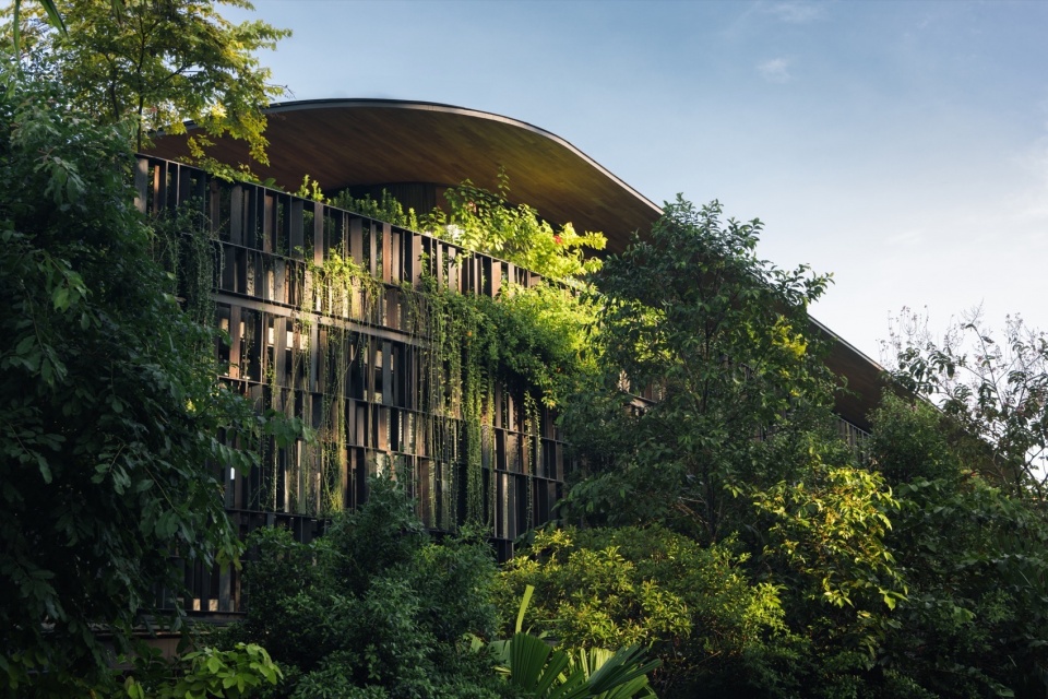 Touching Eden House by Wallflower Architecture Design
