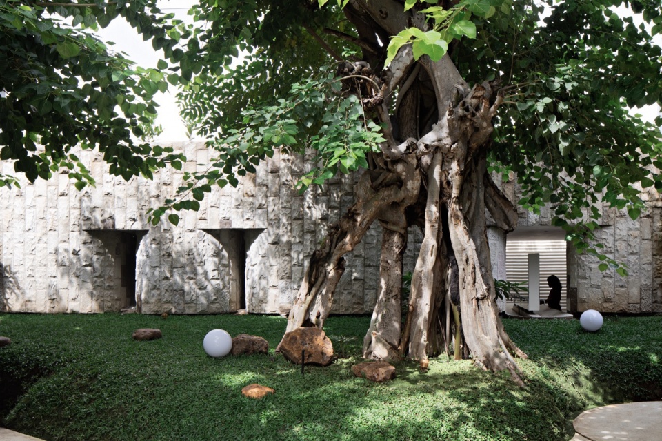 Tanatap Wall Garden RAD ar