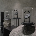 ZAURA零售店，印度 / R+R Architects