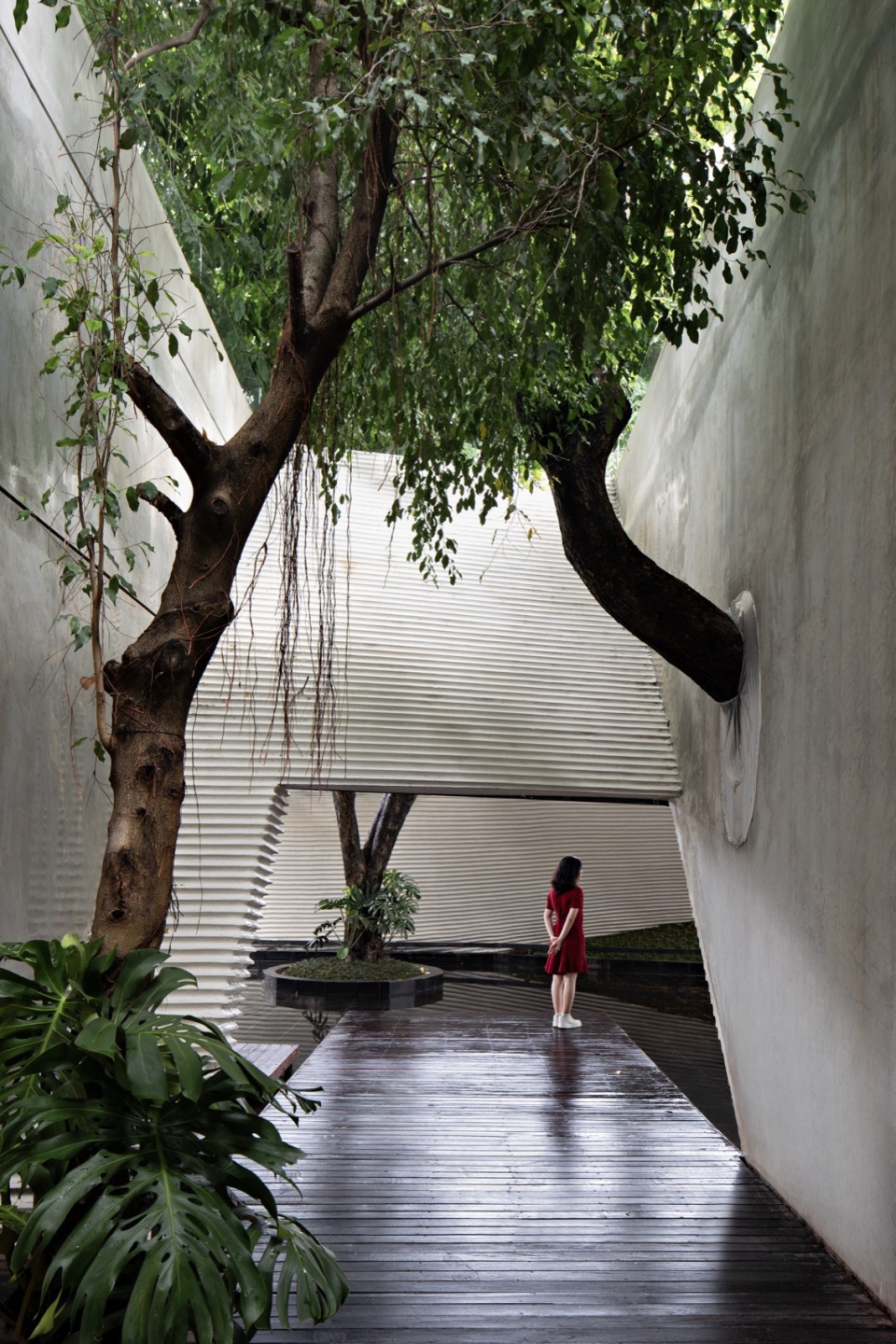 Tanatap Wall Garden RAD ar