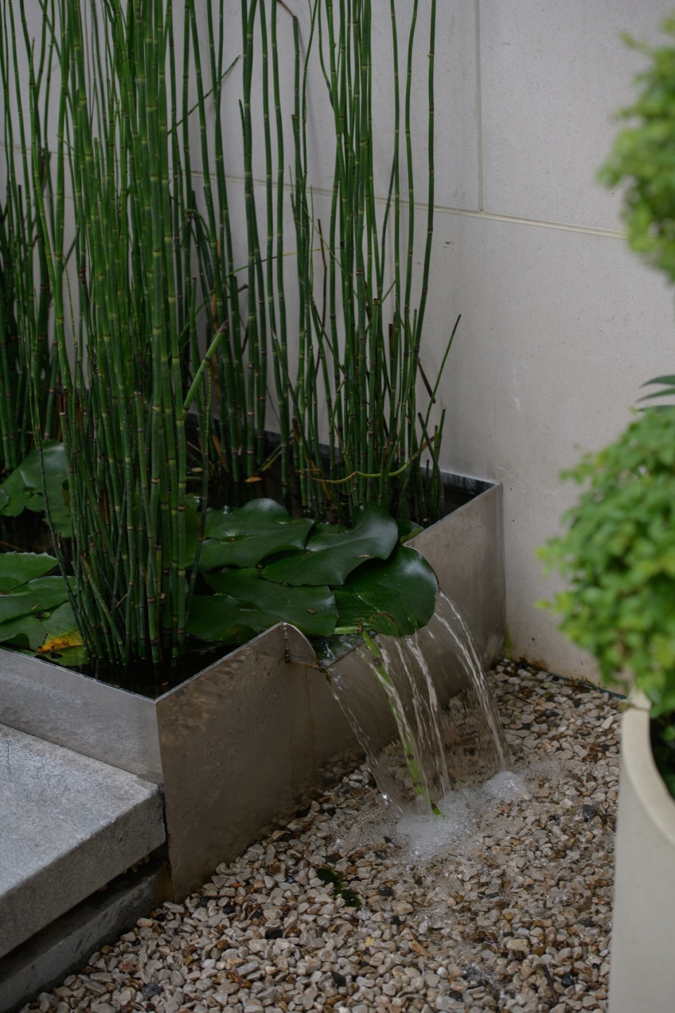 light picking courtyard by ds landscape architecture