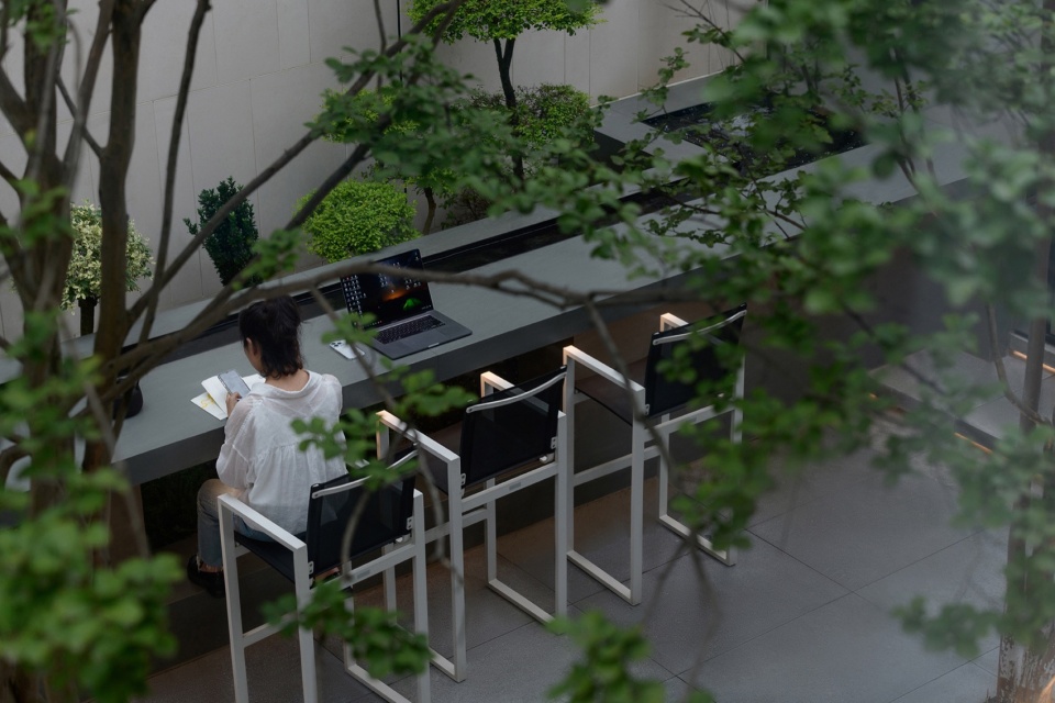 light picking courtyard by ds landscape architecture