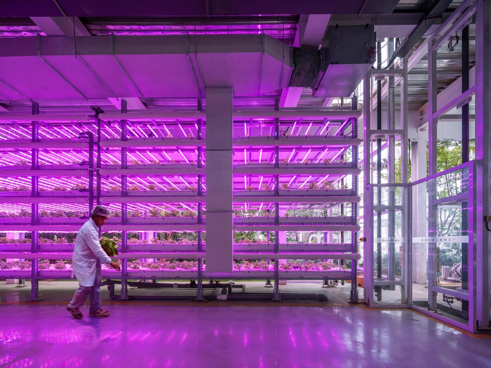 vertical farm beijing by van bergen kolpa architects