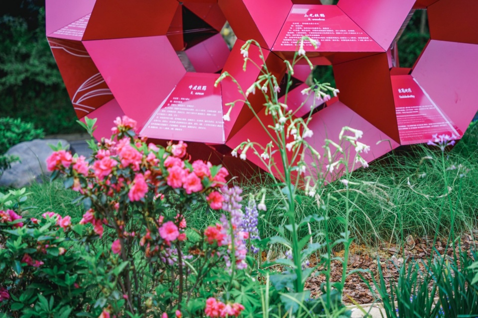 interactive audio visual garden shenzhen by school of architecture south china university of technology