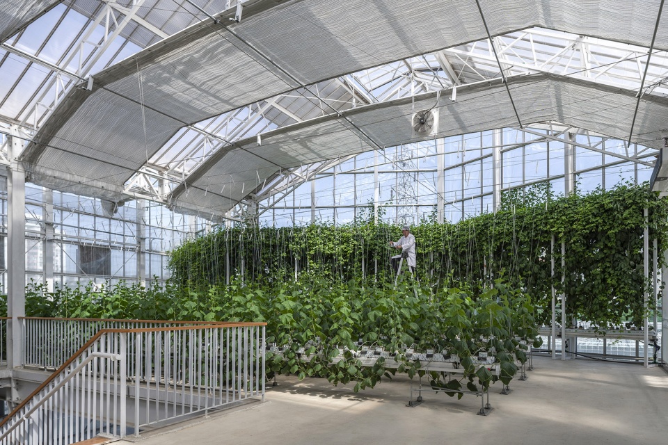 vertical farm beijing by van bergen kolpa architects