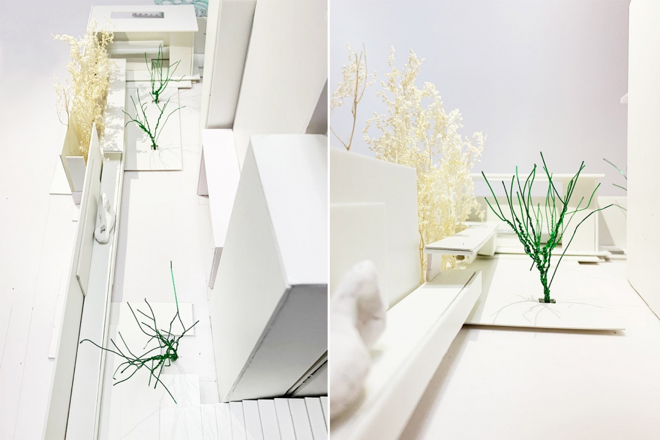 light picking courtyard by ds landscape architecture