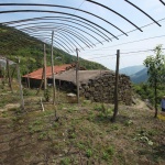 Transformation and Regeneration of Sun’ao Primary School by ZAOZUO ARCHITECTURE STUDIO