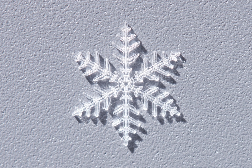 snow by yoy