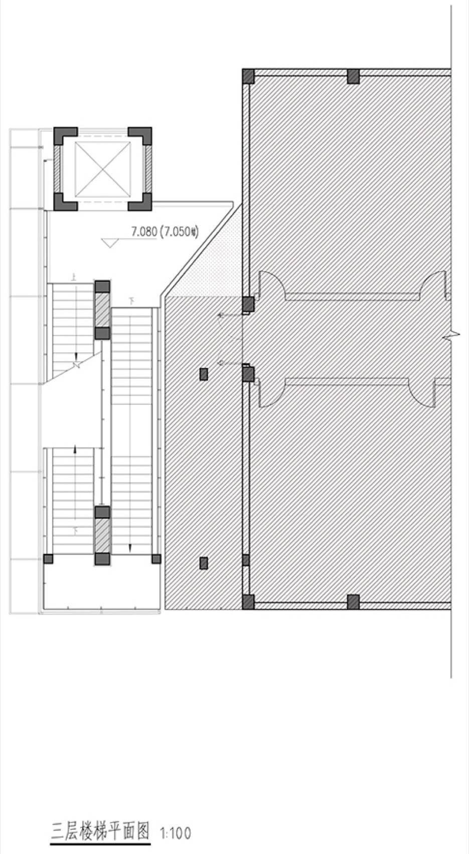 Regeneration at Shanghai Foreign Language School Affiliated to SISU