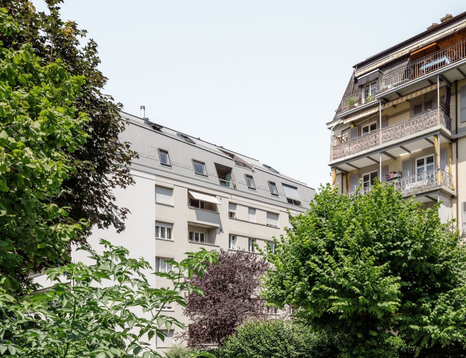 dapples by local architecture