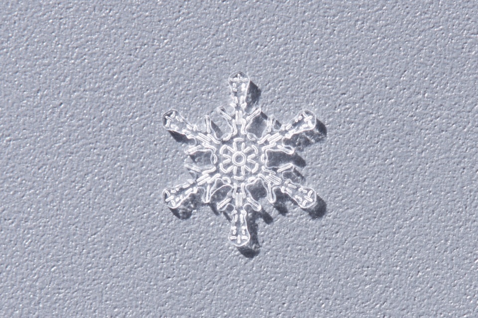 snow by yoy