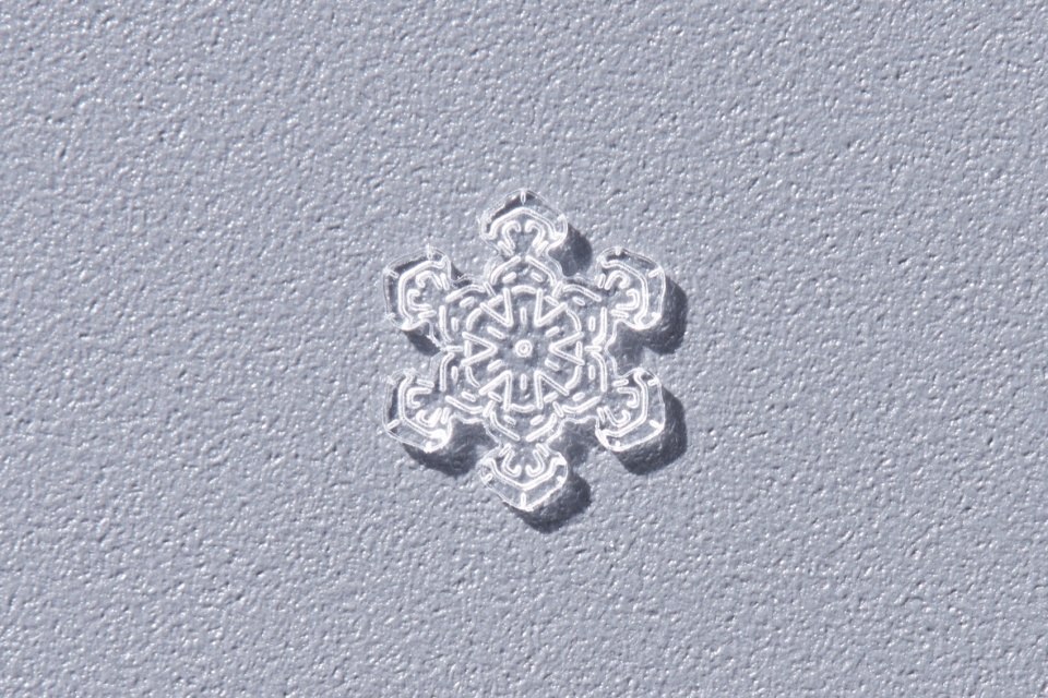 snow by yoy