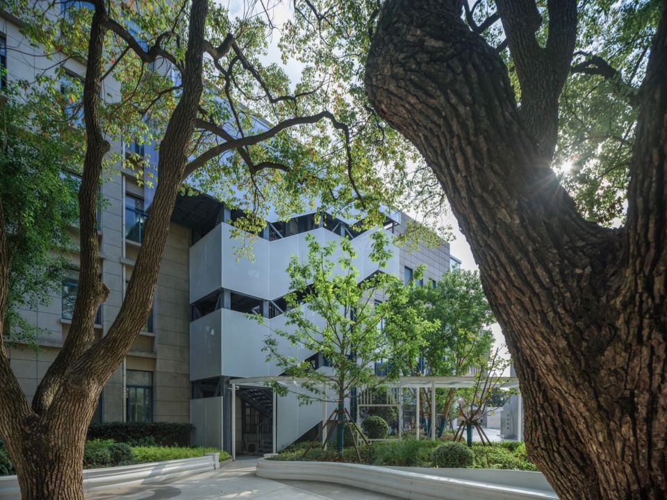 Regeneration at Shanghai Foreign Language School Affiliated to SISU
