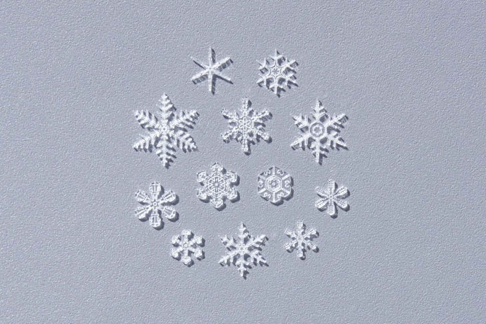 snow by yoy