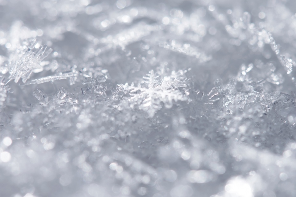 snow by yoy