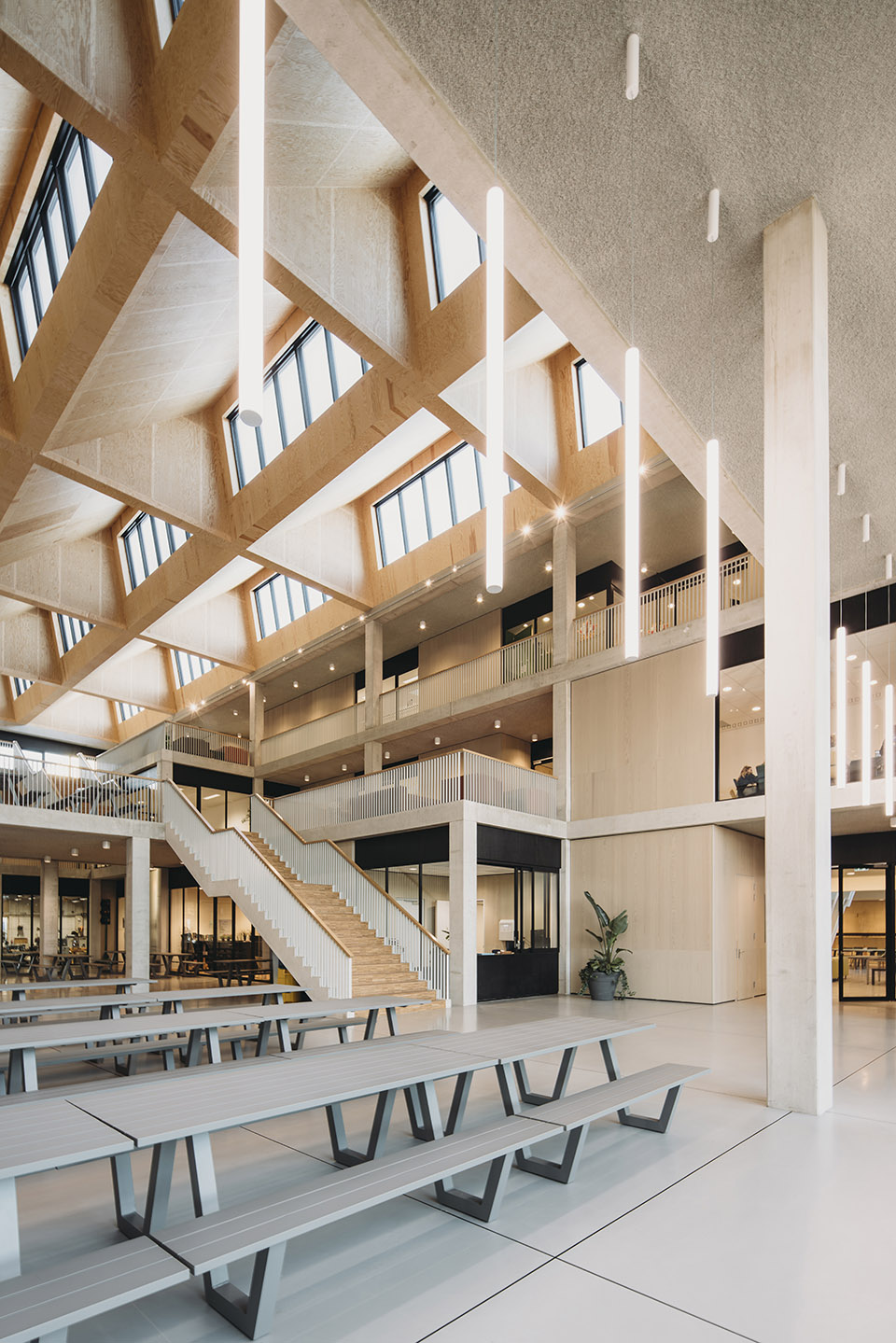 the new school building for het element by de zwarte hond