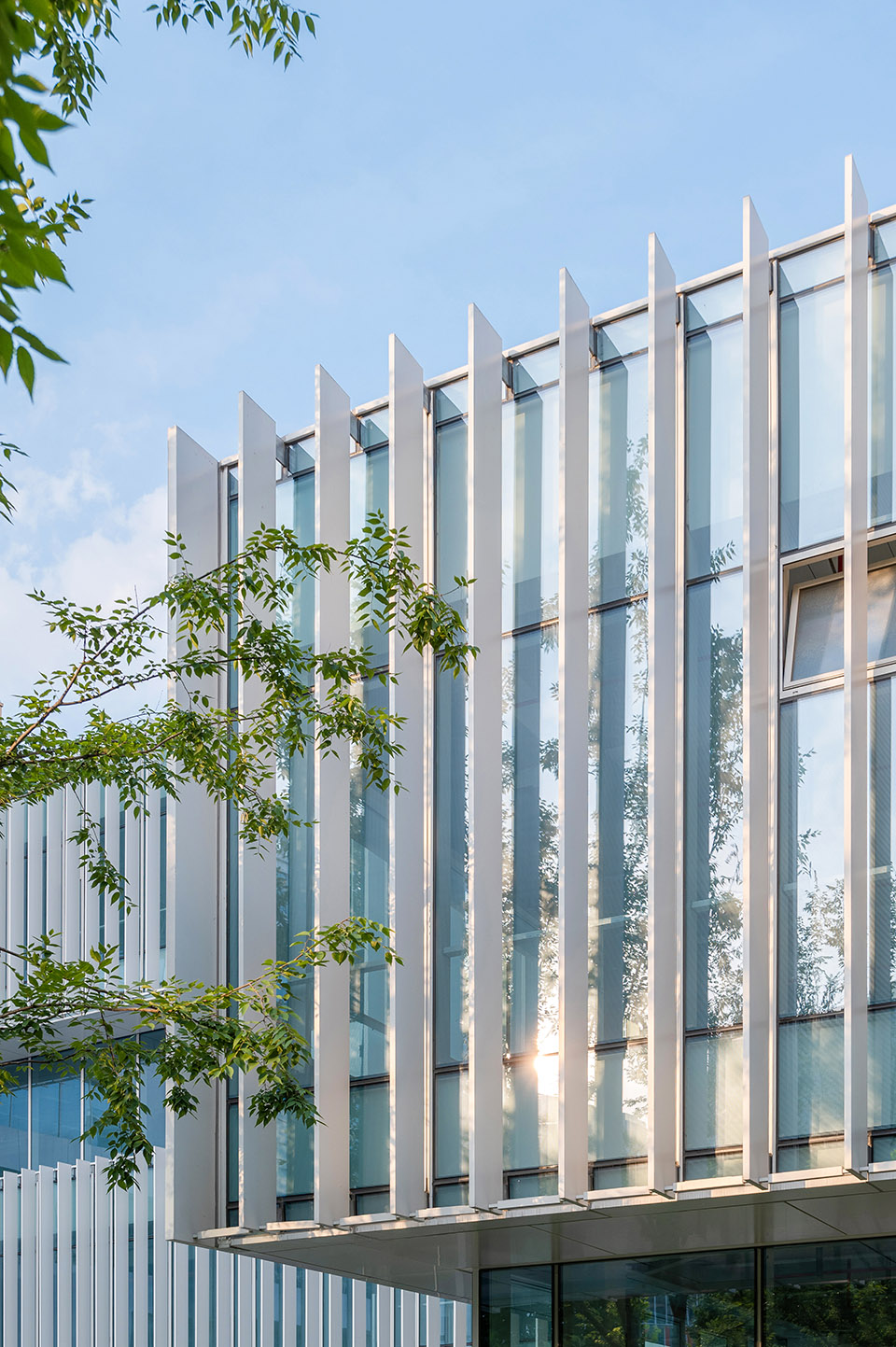 wulin art museum by cctn design
