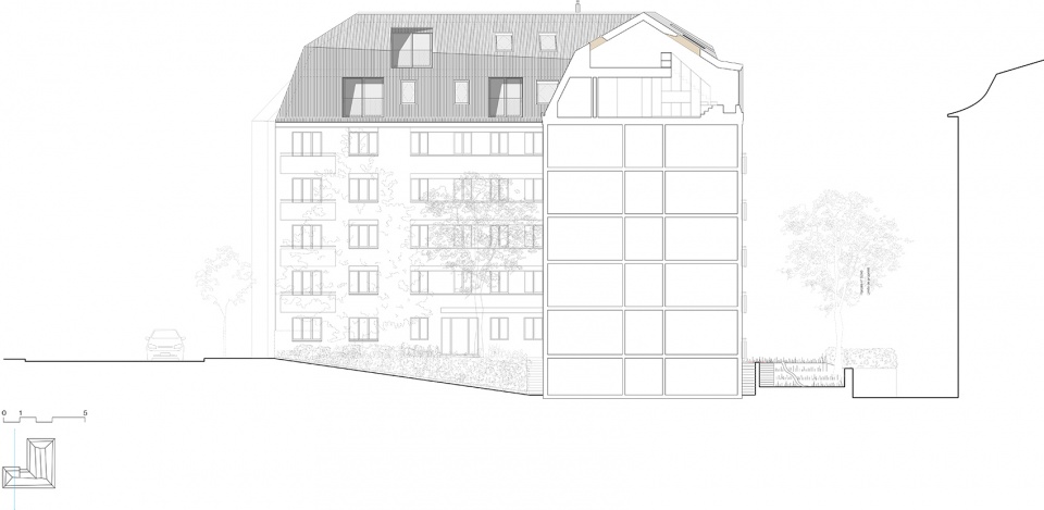 dapples by local architecture