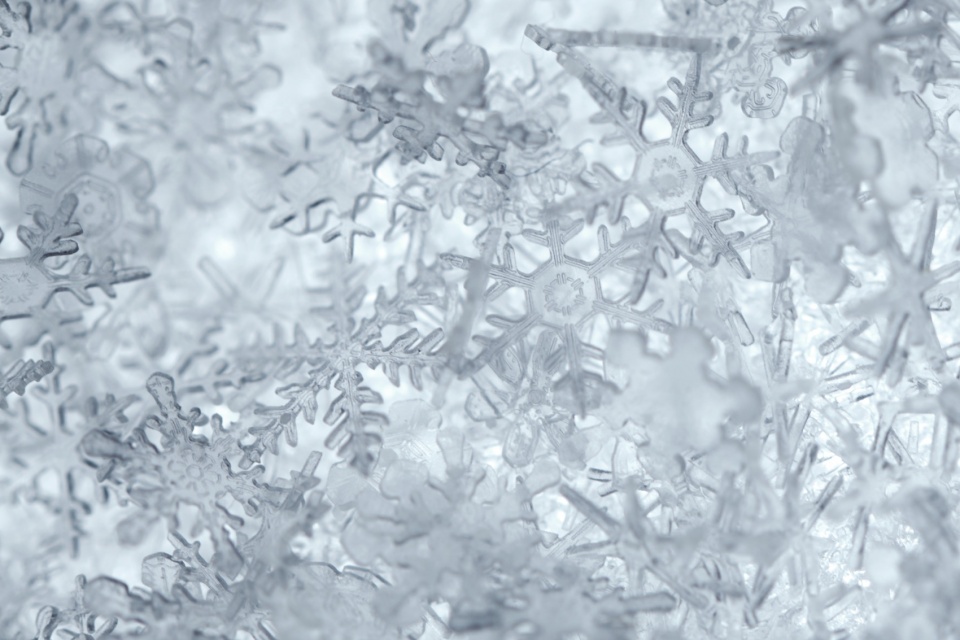 snow by yoy