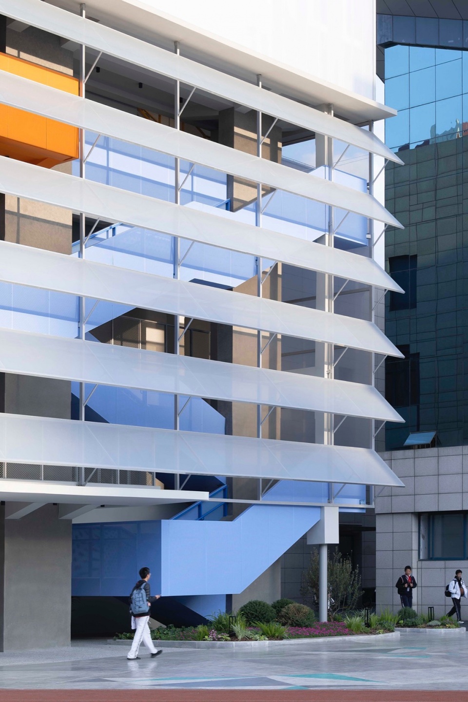 Regeneration at Shanghai Foreign Language School Affiliated to SISU