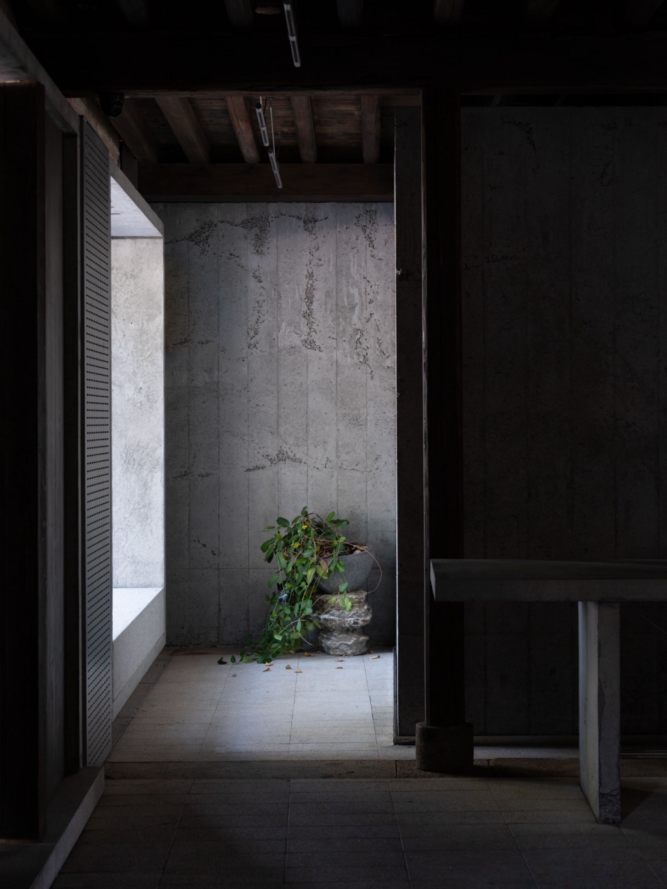 xun bakery by devolution