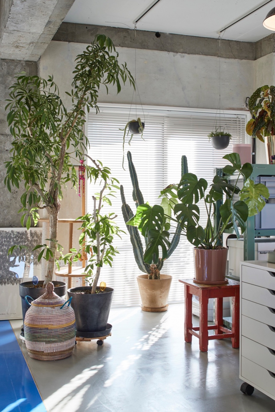 tokyo blue apartment by roovice