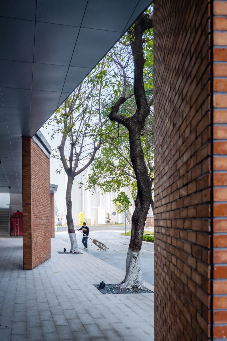 .4连廊与园区生态的结合The integration of the corridors and the ecological environment of the park©杨毅衡