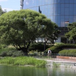 北京亮马河滨水景观廊道 / AECOM