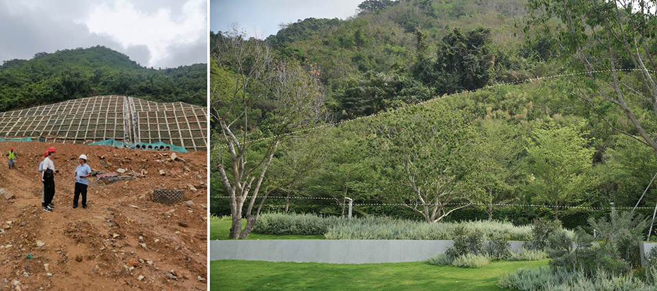aranya sanya by wtd group